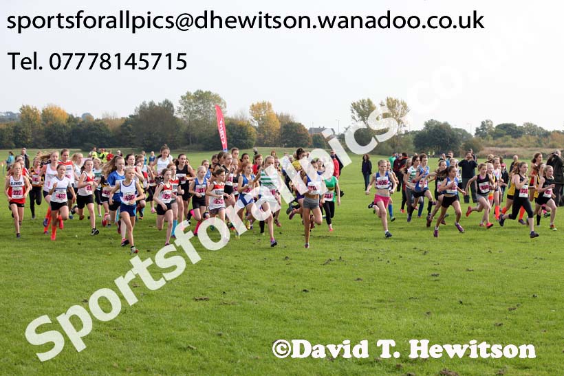 Girls under-13s, Sherman Cup. Photo: David T. Hewitson/Sports for All Pics
